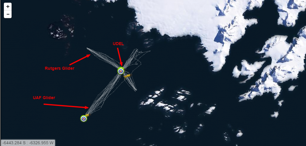 This map shows a series of gliders running transects near the Palmer Research Station in Antarctica.  The AOOS glider is labeled "UAF", as it's Antarctic journey has been facilitated by Hank Statscewich and Peter Winsor of UAF.  