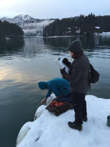 Local community members gather water samples in Seldovia to be sent to the Alutiiq Shellfish Hatchery in Seward. 