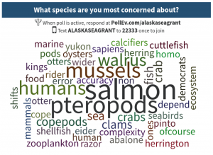 This word cloud shows the audience response to the question about "What species are you most concerned about?"
